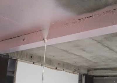 Amiseal PSO