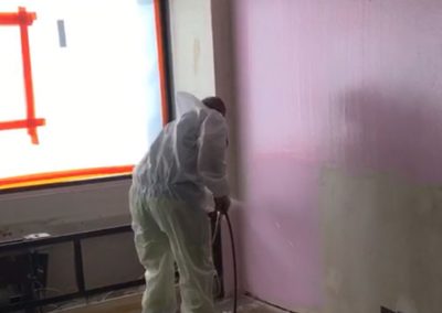 Amiseal PSO